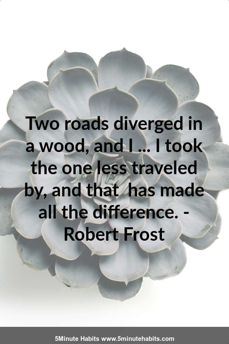 Two roads diverged in a wood, and I ... I took the one less traveled by, and that  has made all the difference. - Robert Frost
